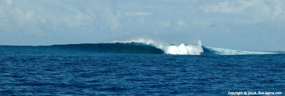 Searching For Tom Curren
